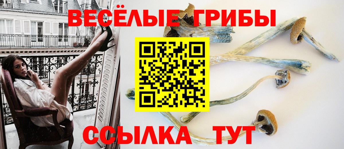 Псилоцибиновые грибы MAGIC MUSHROOMS  Вход с VPN  Жуковский 